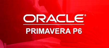 Primavera Training by EBEES